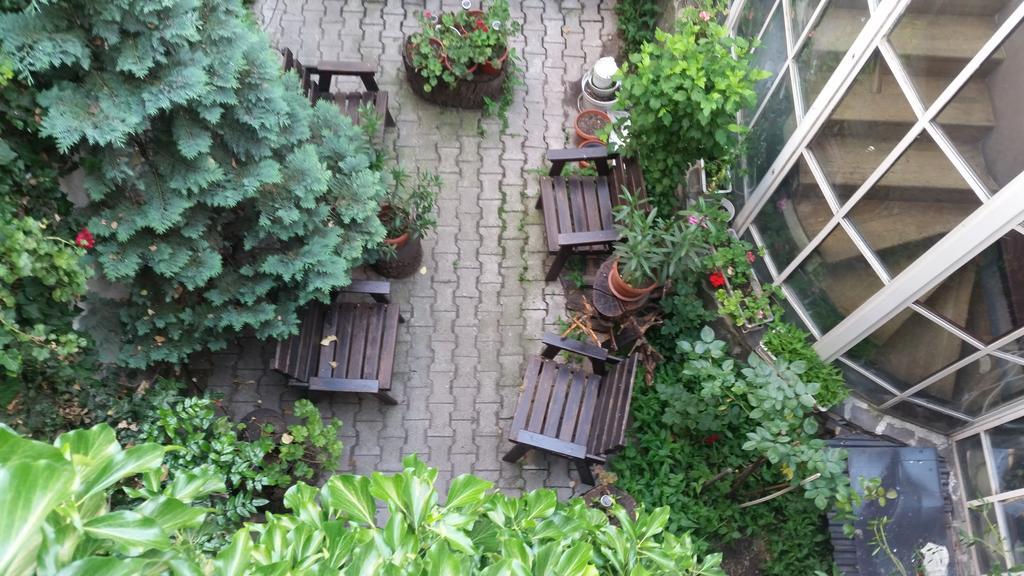Vila Monica Bed and Breakfast Târgu-Mureş Exterior foto