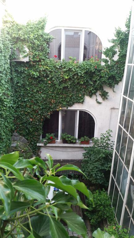 Vila Monica Bed and Breakfast Târgu-Mureş Exterior foto