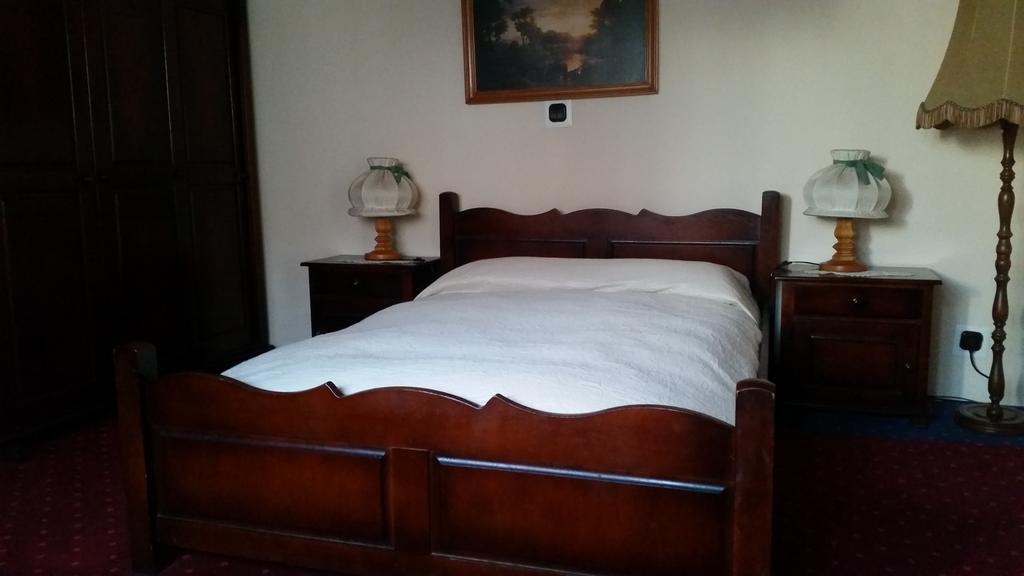 Vila Monica Bed and Breakfast Târgu-Mureş Habitación foto