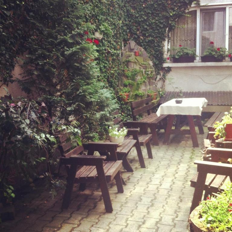 Vila Monica Bed and Breakfast Târgu-Mureş Exterior foto
